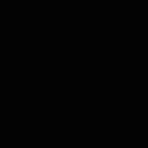 lunation 5 fps.gif