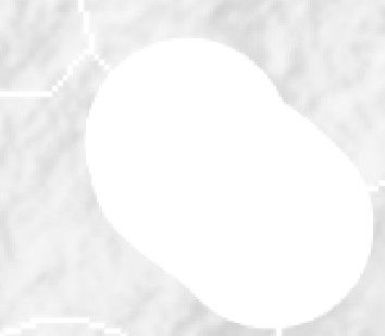 image.jpeg