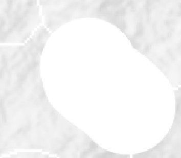 image.jpeg