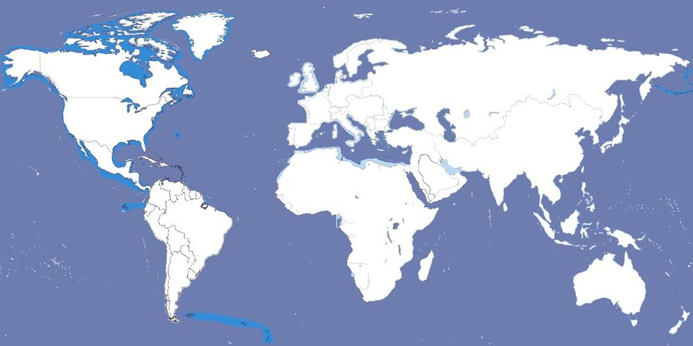 NewMapProject.jpg