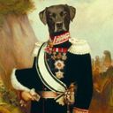 bergenwolf