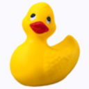Shuckduck